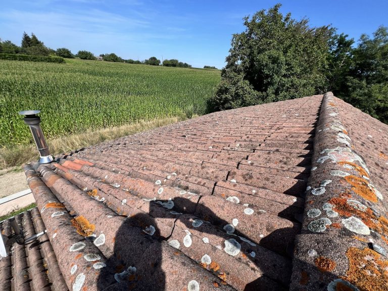 Entretien d'une toiture en tuiles béton à Pusignan